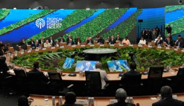 California steps in as Trump skips global climate summit in Brazil