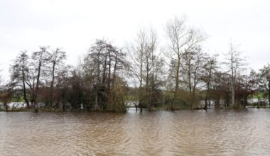 Thousands without power around Ireland as warnings lift – The Irish Times