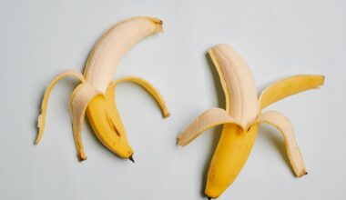 when politics gets absurd (and why it works)