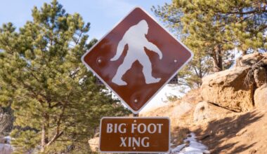 What Bigfoot hunters get right (and very wrong)