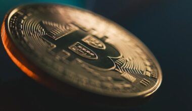 Mohamed El-Erian Argues Bitcoin's Drop Is Due To Flight of Speculative 'Tourist' Investors, But This Analyst Says It's 'Not the End of the World'