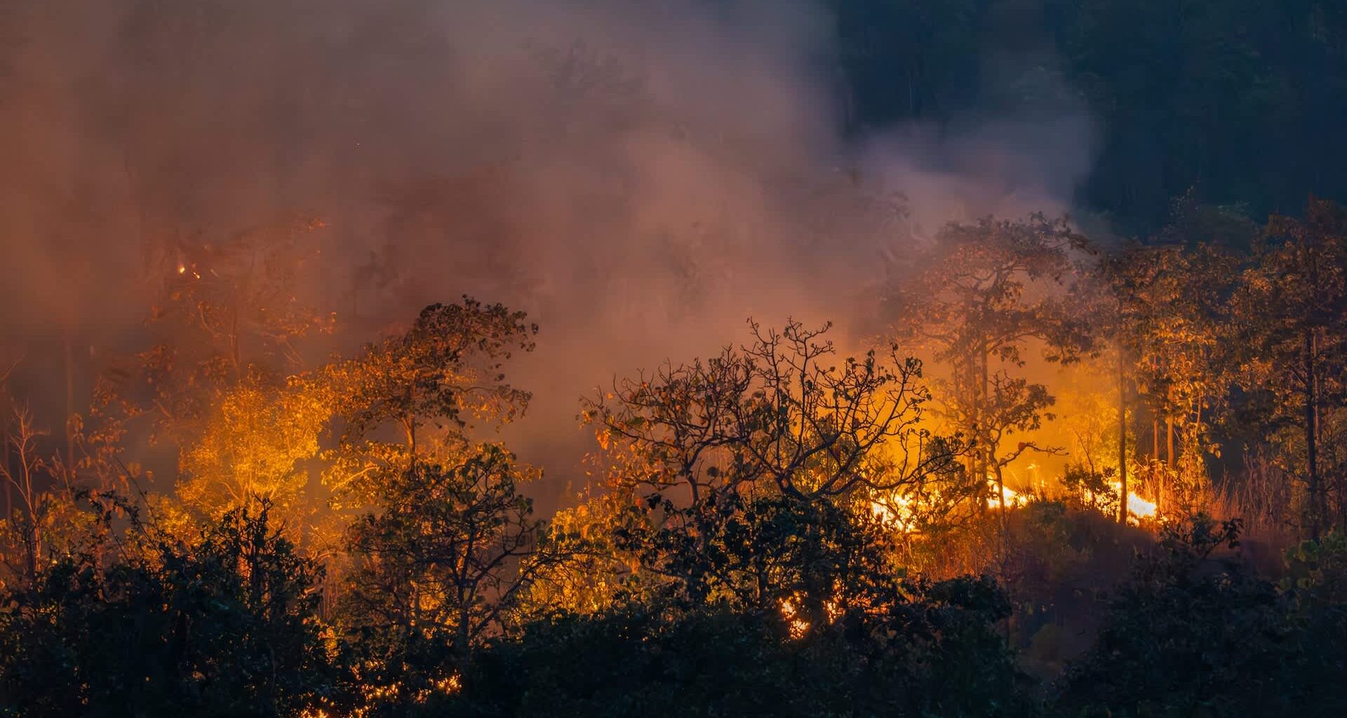 Natural disasters have cost the Bulgarian economy at least one billion euros (about $1.15 billion) in 2025.