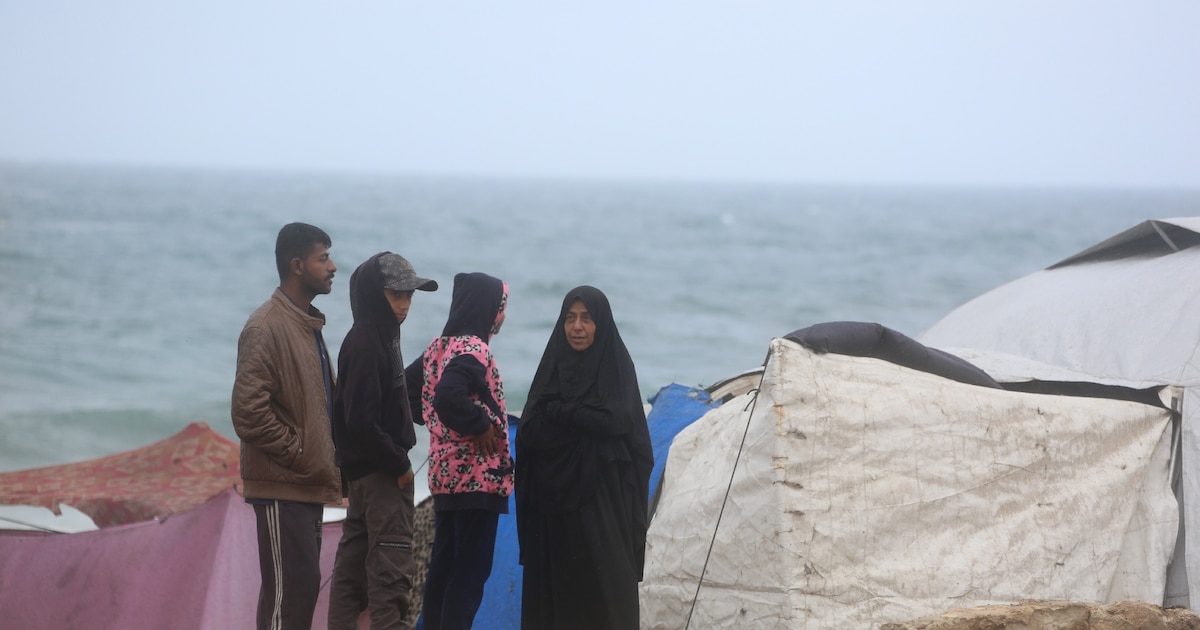 Des déplacés paleestiniens dans la ville de Deir el-Balah, dans le centre de la bande de Gaza, le 15 novembre 2025
