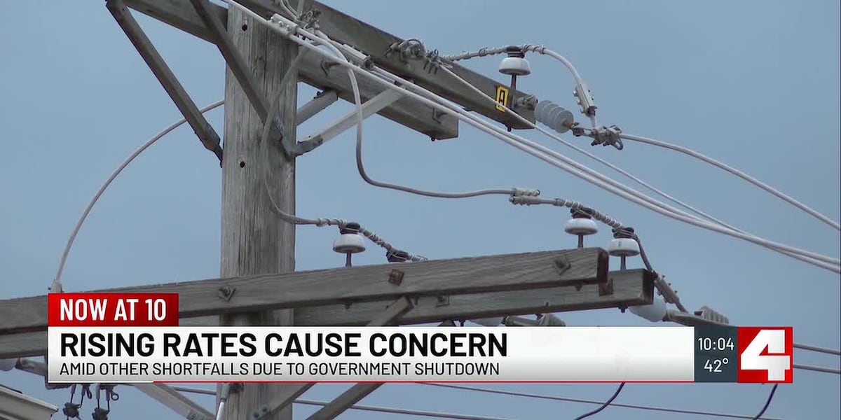 Federal shutdown delaying energy assistance as Illinois families face soaring utility bills