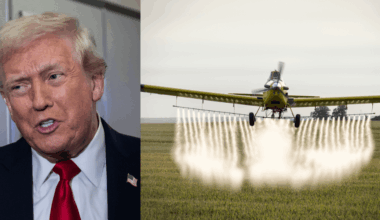 Trump Administration Slammed After EPA Approves 'Forever Chemical' Pesticides On Food