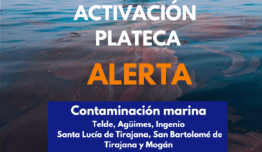 Portal de Noticias del Gobierno de Canarias