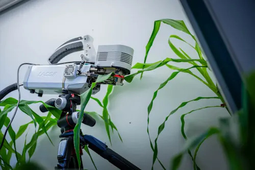 Leaky plants/Paul H. Joseph/University of British Columbia/Submitted to The Weather Network