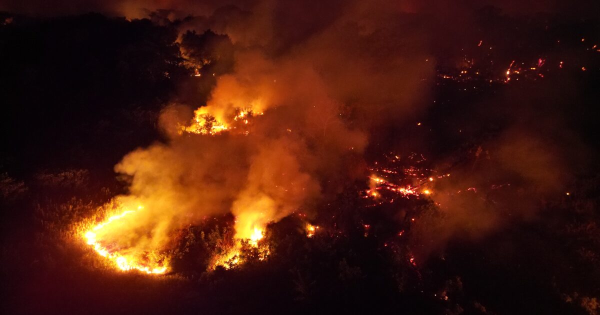 Environmental Justice Foundation | EJF shares stories of the global…