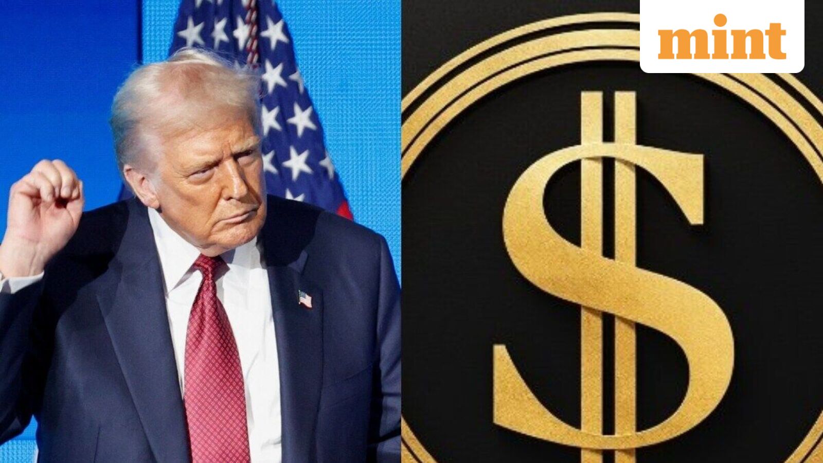 US President Donald Trump and DOGE logo.