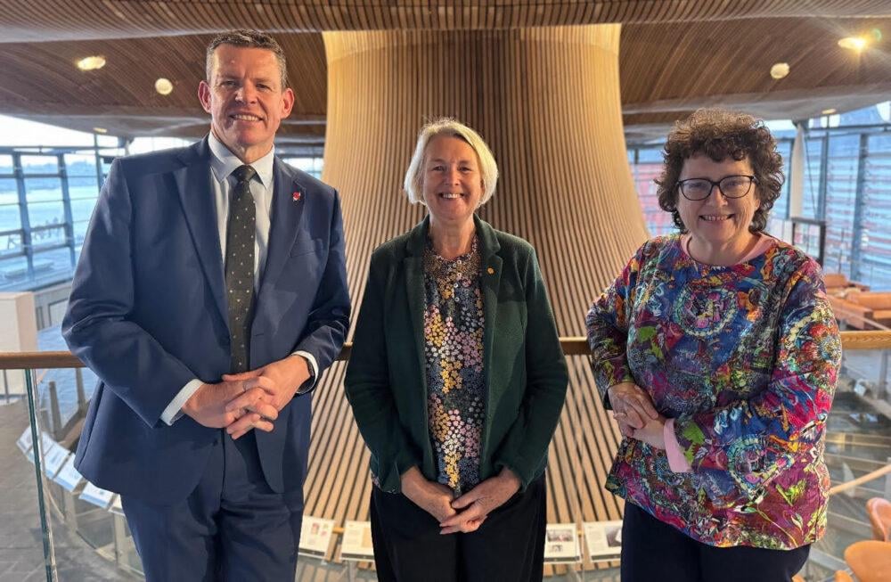 Dentistry school plans to address 'urgent dental crisis' in Wales welcomed