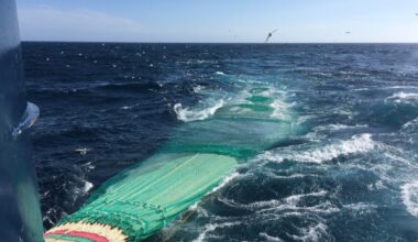 Marine Ingredients Denmark think tank