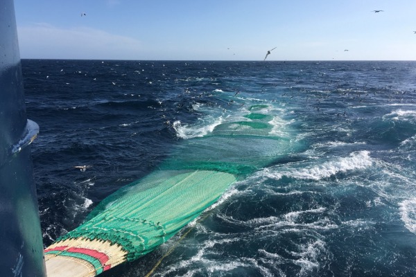 Marine Ingredients Denmark think tank