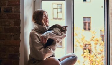 Clouds and sun mark a mild Sunday across the Netherlands