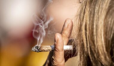 Mængden af cannabis opsnappet ved grænsen er tredoblet på et år [I år er der fundet 1074 kilo i årets første seks måneder.]