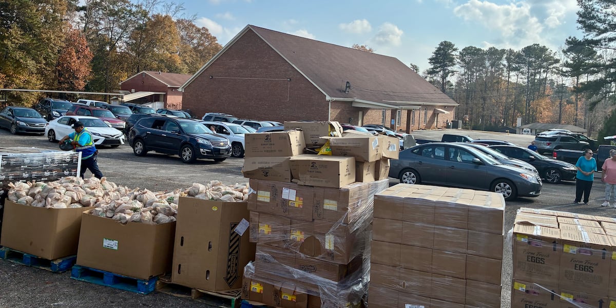 Turkey meal giveaway in Cobb County feeds hundreds of families