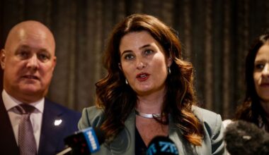 The ritual and reality behind New Zealand’s endless political announcements – David Harvey