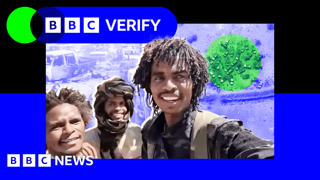 'Our job is only killing' - how Sudan's brutal militia carried out a massacre in El Fasher