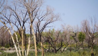 A tribe in Nevada finally had funding for climate resilience. Then a grant was ripped away.