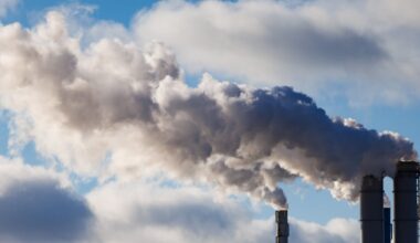 Canada’s new Climate Competitiveness Strategy leaves uncertainty, expert says