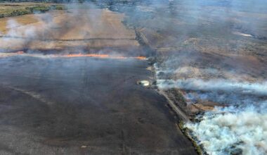 States sue Trump administration over restrictions put on FEMA emergency grants