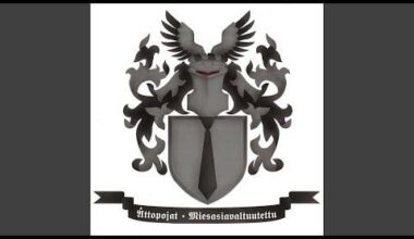 Terve! Can anyone tell what is this song about?