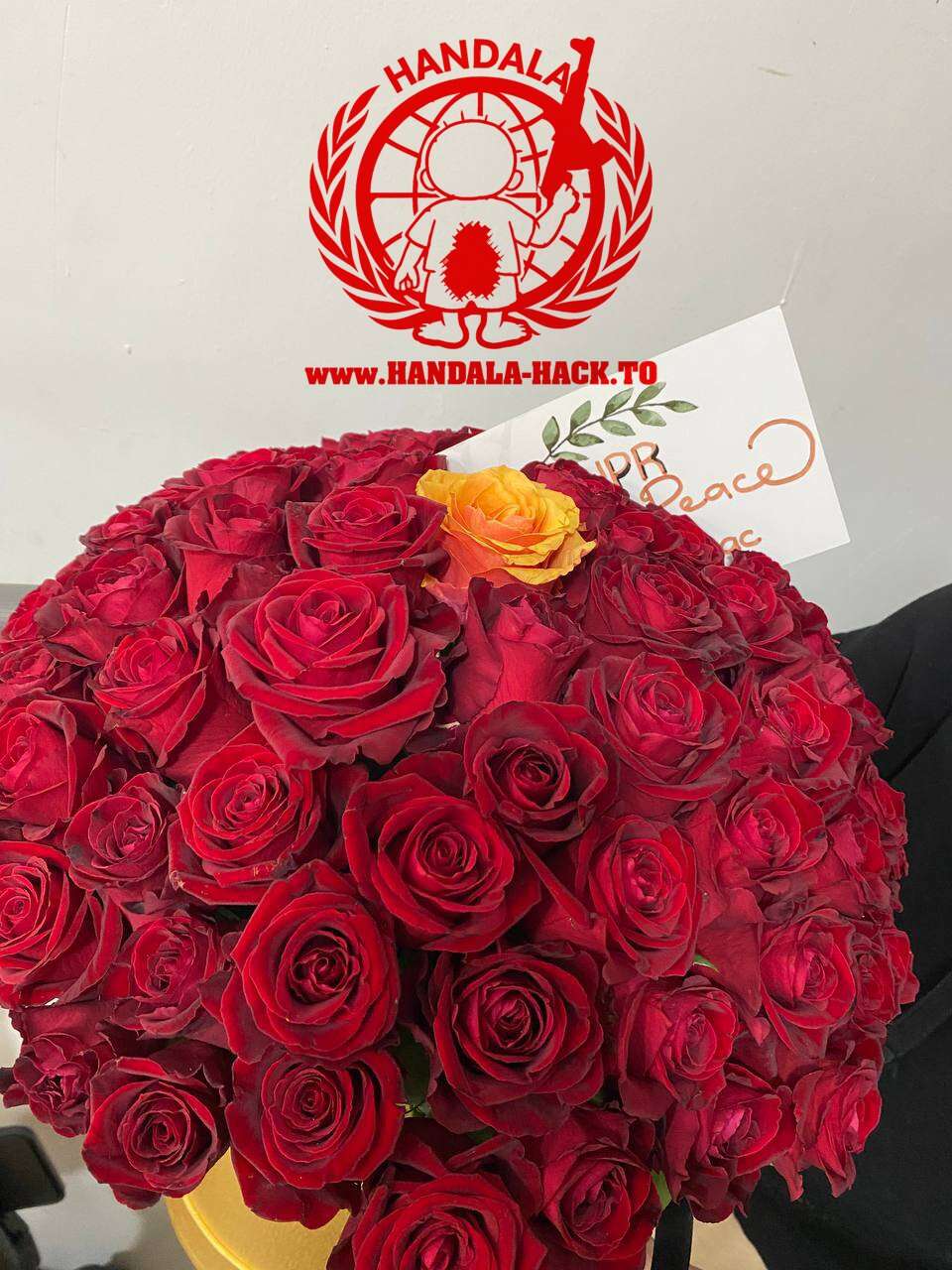 הזר וסמל הארגון , 