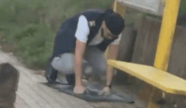 De Lijn schorst biddende buschauffeur voor minstens vier dagen: “Het mag niet”