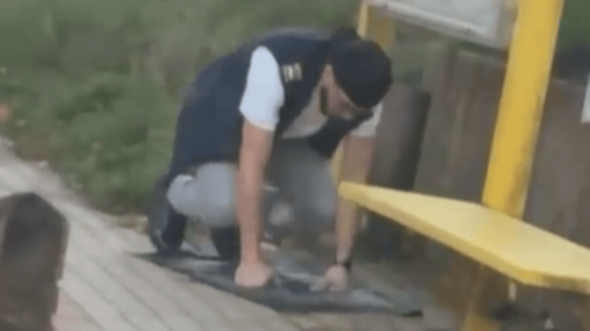 De Lijn schorst biddende buschauffeur voor minstens vier dagen: “Het mag niet”