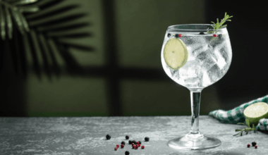 EuGH: Alkoholfreier Gin darf nicht Gin genannt werden