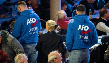 Far-right AfD forms new youth wing in attempt to revamp extremist image – POLITICO