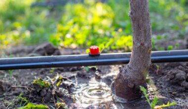 VIDEO: Transforming European agriculture amid water stress