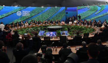 Germany seeks to avoid becoming next UN climate host by accident – POLITICO