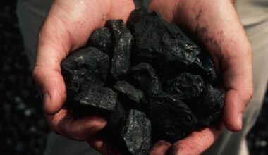 Transitioning From Coal Through “Creative Destruction”
