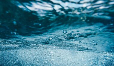 Dialogues to begin on ensuring sustainable water management