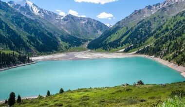 Israelis discover a new t