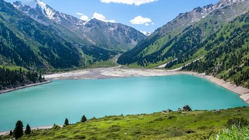 Israelis discover a new t