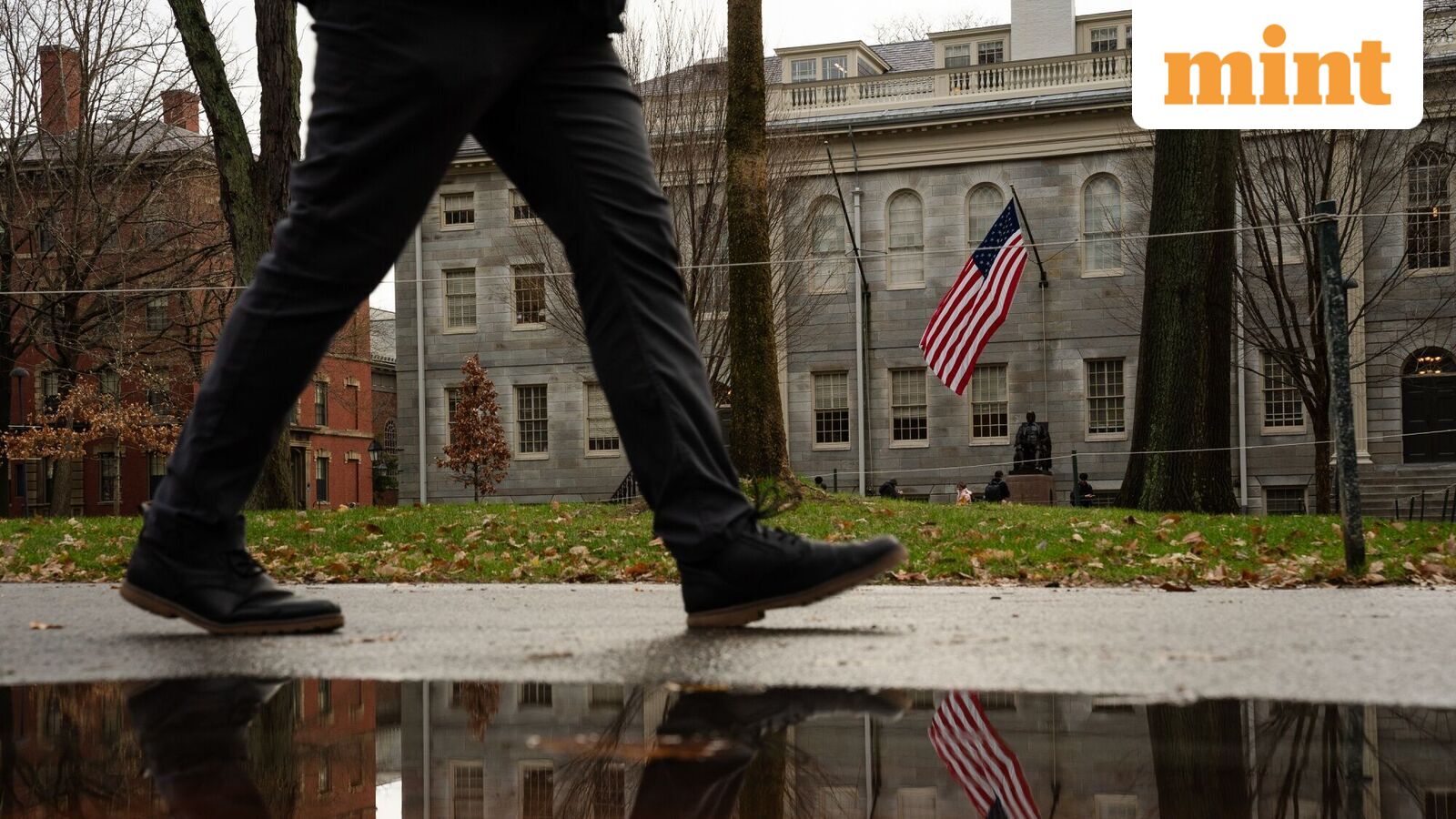 Oxfam data showed that the wealthiest citizens living in the United States (US) own nearly 24% of the assets on Wall Street.