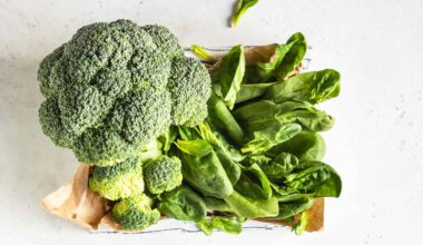 8 Healthiest Vegetables Packed With Fiber, Vitamins, and Antioxidants