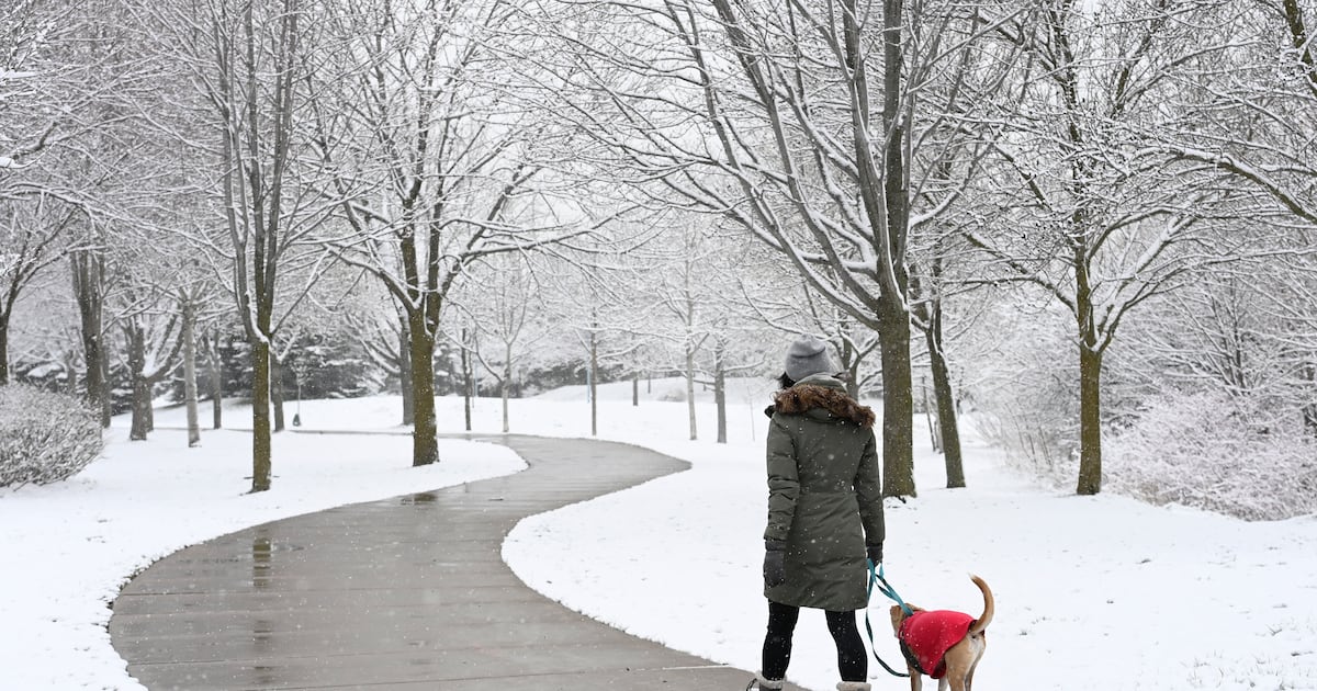 First snowfall arrives. 5-10 cm expected