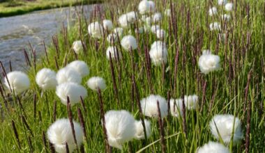 Mountaineers Nov. 18 Meeting To Feature Talk On Hiking The Highlands Of Iceland – Los Alamos Reporter