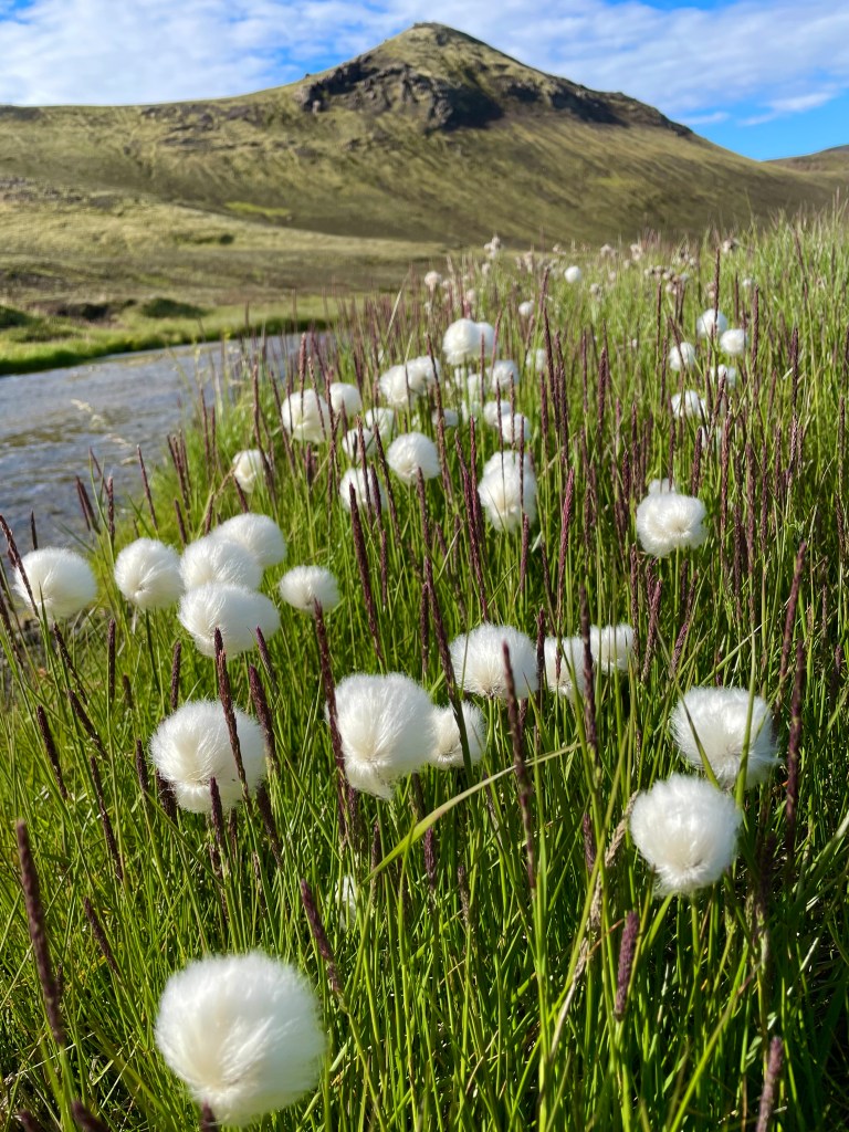 Mountaineers Nov. 18 Meeting To Feature Talk On Hiking The Highlands Of Iceland – Los Alamos Reporter