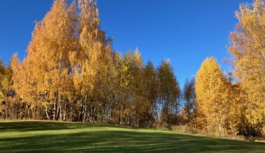 Warm autumn about to end as climate talks continue in Brazil