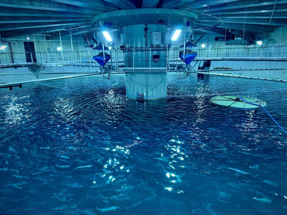 Fish Farmer - Fish Farmer - All Content