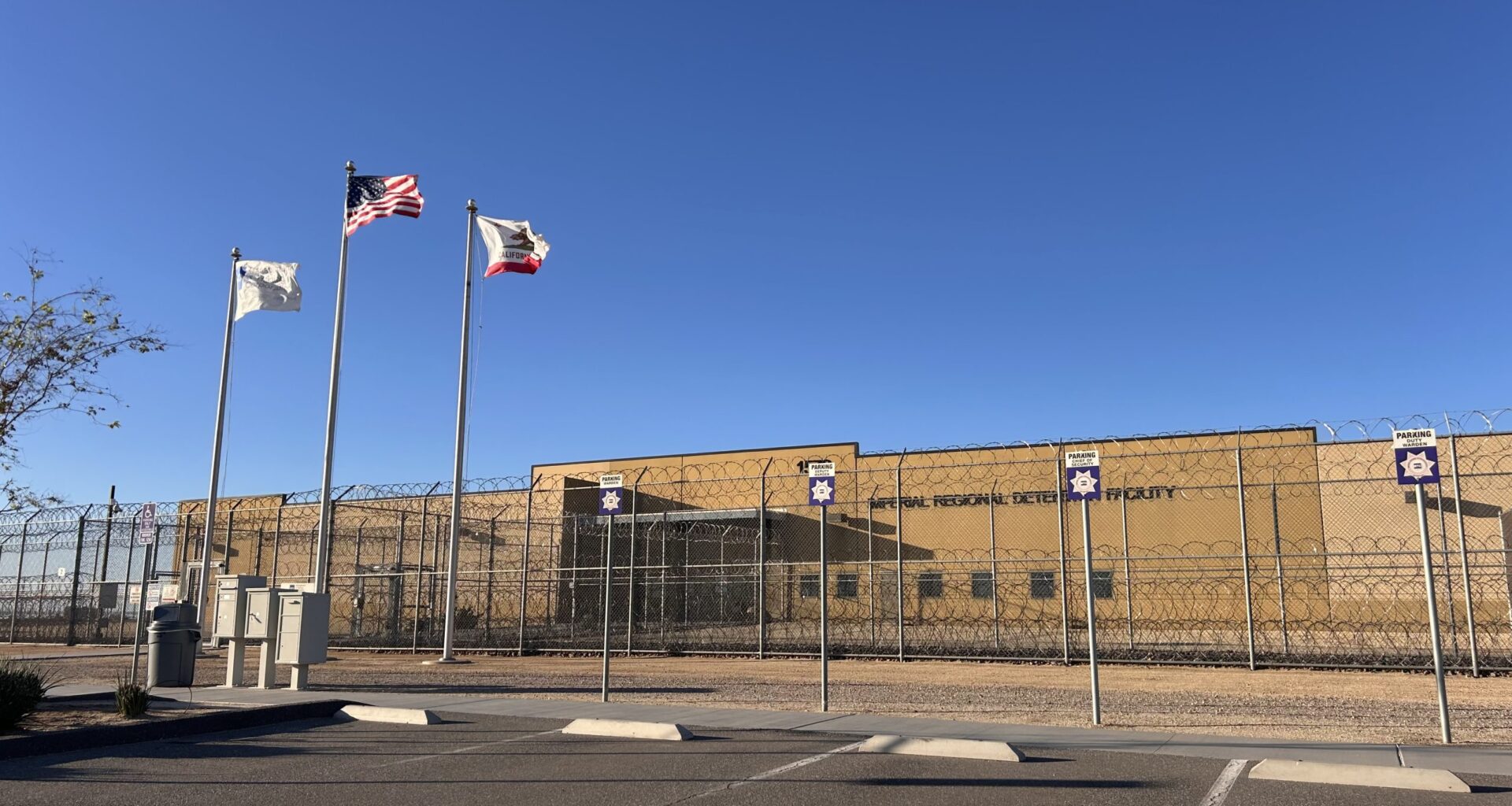 Wait years for a hearing, or agree to be deported now