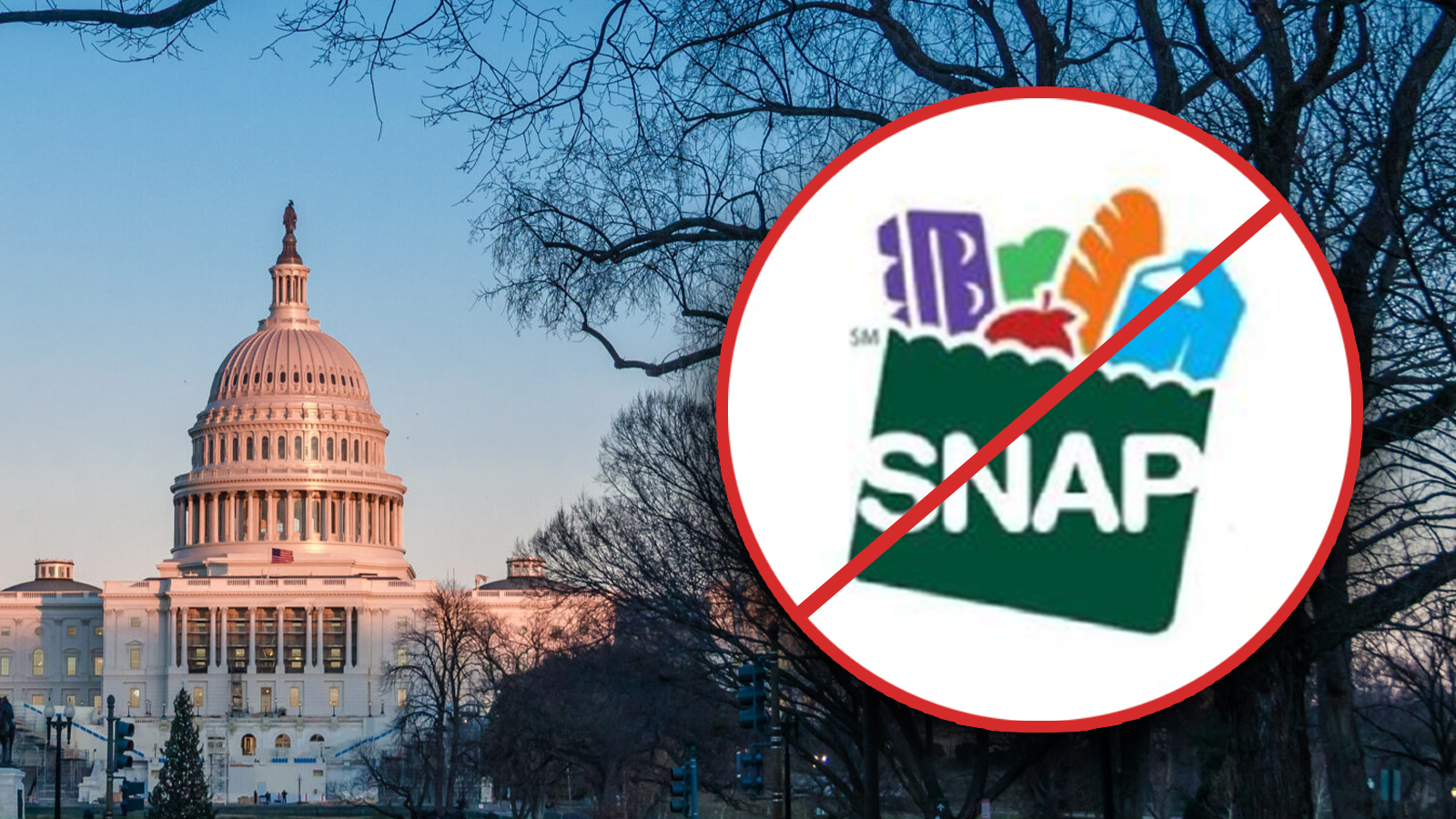 Nearly 700,000 Ineligible People Have Been Removed from SNAP Rolls Since Trump Took Office: Rollins