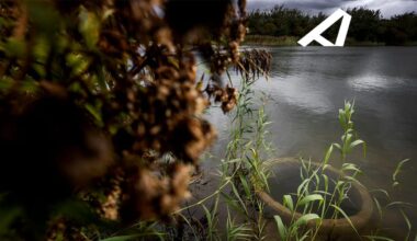 Veel meer PFAS in pesticiden: grote zorgen om drinkwater
