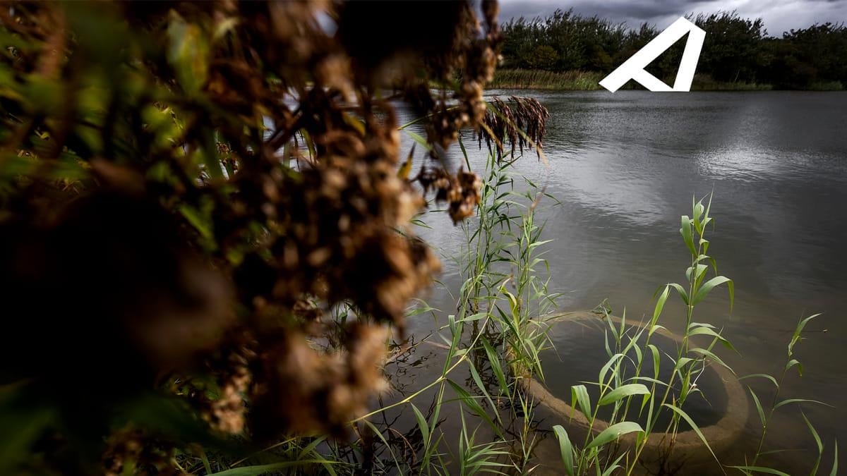 Veel meer PFAS in pesticiden: grote zorgen om drinkwater