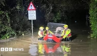 Flooding traps 28 dogs in loft as rain swells Welsh rivers