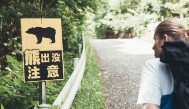 Japan Just Deployed Troops to Deal With a Surge in Bear Attacks