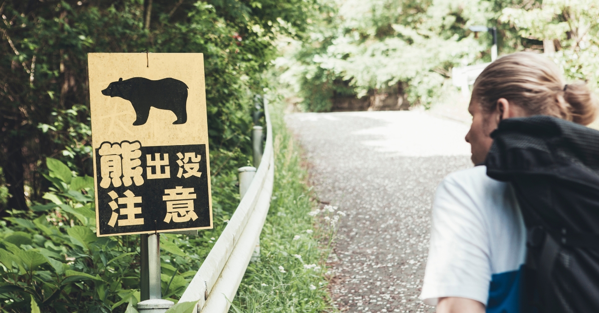Japan Just Deployed Troops to Deal With a Surge in Bear Attacks